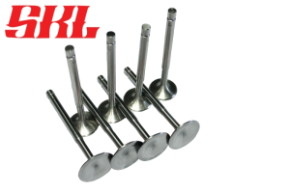 Облегченные клапана УСА ВАЗ 2101 8V Тюльпан