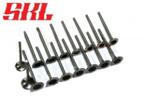 Комплект клапанов для а/м ВАЗ Ларгус, Renault (K4M, K4J) (5.5х109.2х32.4)(16 шт)